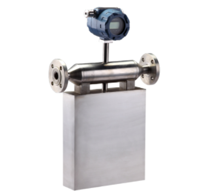 气体质量流量计