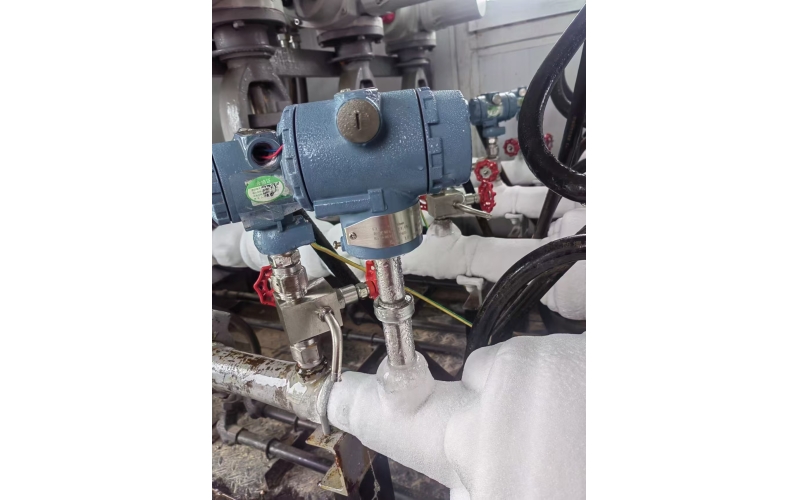 42MPA高压靶式流量计